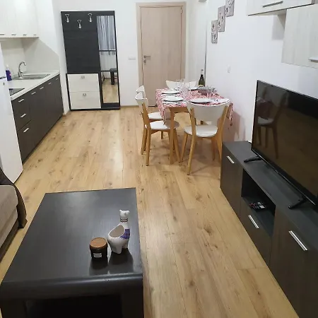 Topalov 布尔加斯